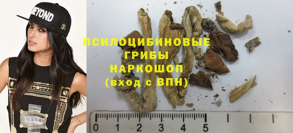 молекула духа Балахна